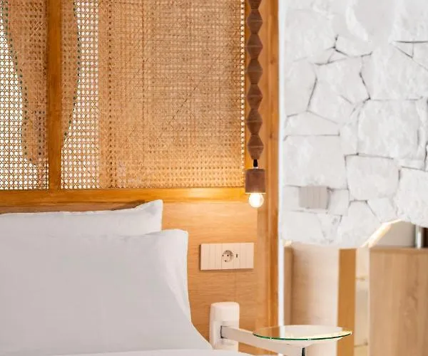 Anome Mykonos Hébergement de vacances