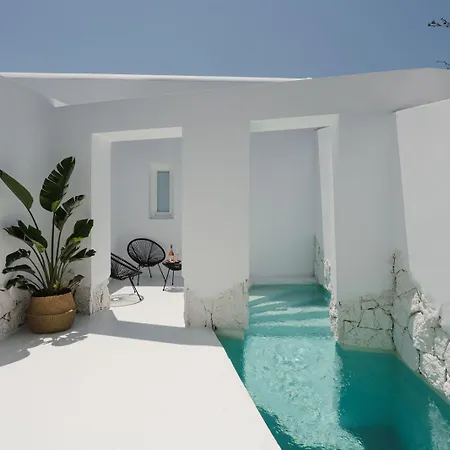 Anome Experience *